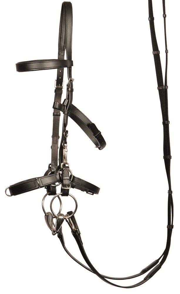 Cavallo in pelle