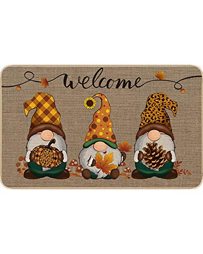 Lanpn Herbst Fußmatte Mit Kürbis-Motiv - Rutschfeste Kokosmatte 42x75 Cm Für Haustür