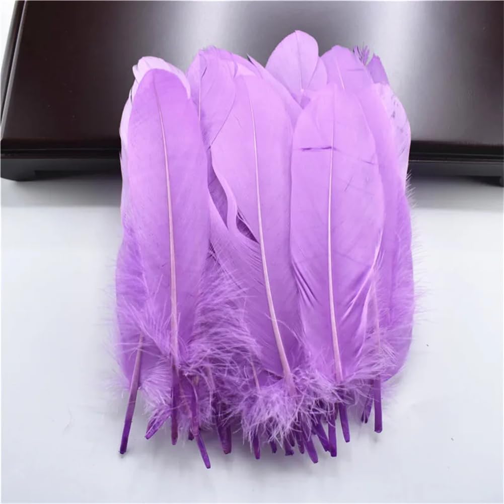 Natural Pheasant Feathers, Natural Goose Feathers Craft Pack of 50 Multicolor 5-7.2 Inches