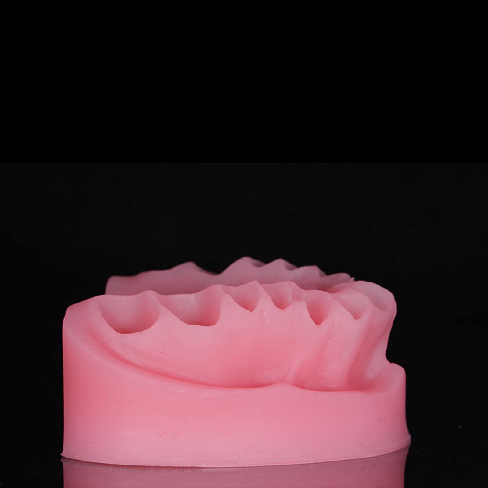 Modello espositivo per Protesi Dentarie Manichino Dentale Modello didattico per odontoiatria Orale Stampi per odontoiatria Orale,B