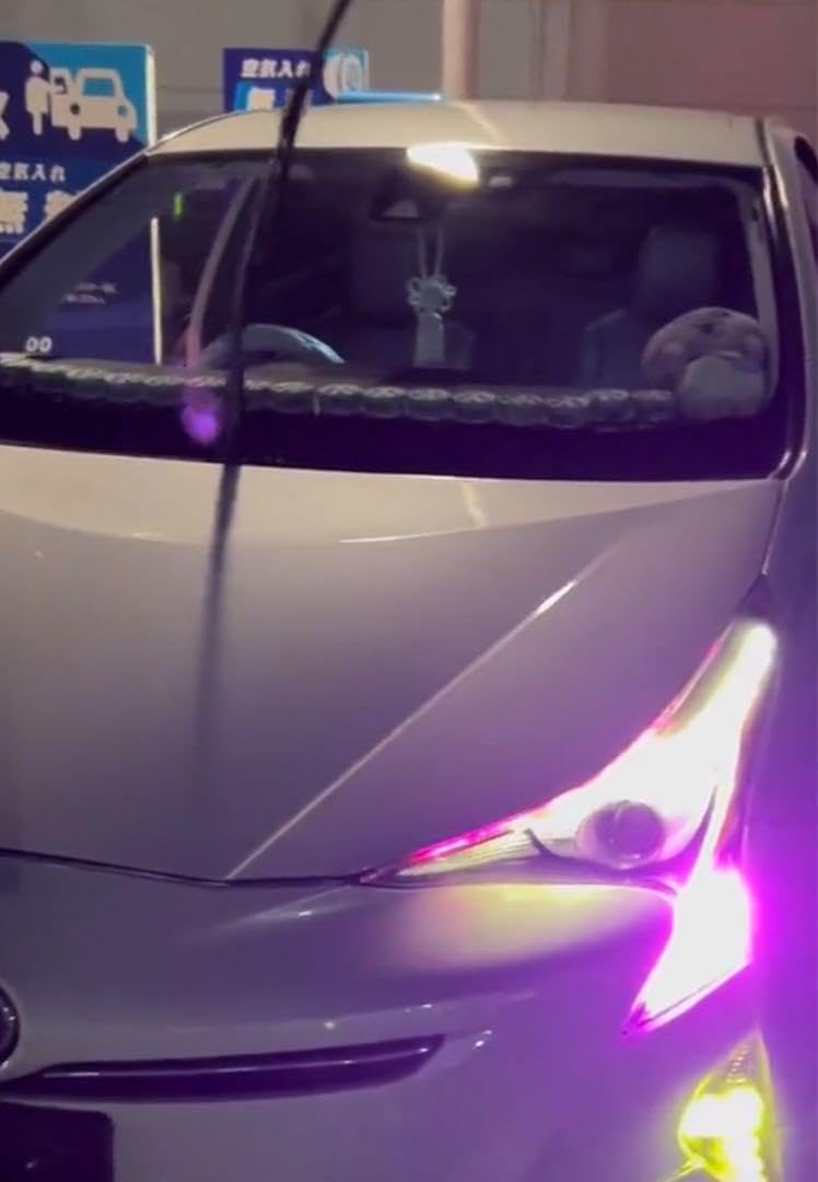 50プリウス ウインカーポジション パープル ピンク ポン付け ワンオフ 加工済 50プリウス ウインカーポジション パープル ピンク ポン付け ワンオフ