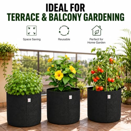 Image of Casa De Amor 400 GSM Geo Fabric Plant Grow Bag, Black 10 x 10 Inch Pack of 3, Round Fabric Pots for Terrace, Balcony, Flowers & Vegetable Gardening