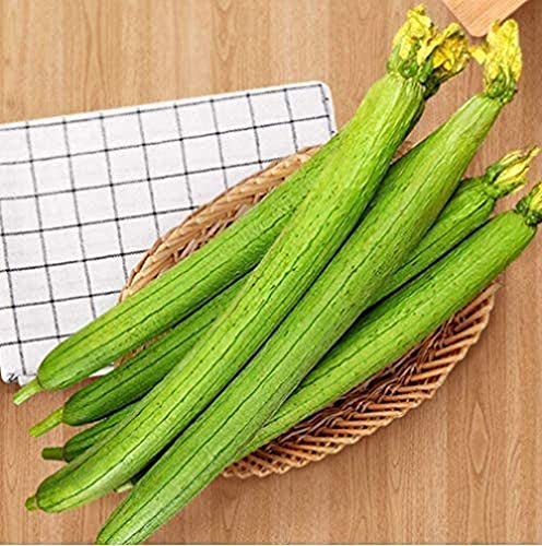 Yzztssj 80 個ヘチマ種子薄緑肌非遺伝子組み換え健康登山ブドウ品種収穫野菜園芸種子播種年中を買う前にチェック٩ ˊᗜˋ و 売れてる商品比較と色