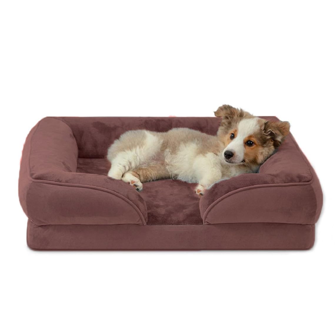 Amazon | [ADSNS] ペットラウンジ おしゃれ ペット用 フロア