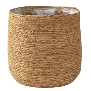 鉢カバー　大型　美品　お買い得　送料込み Amazon.co.jp: Worth 植木鉢 大型 オシャレ レトロ 鉢カバー 2個