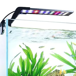 AQQA Aquarium Clip On Light, Full Spectrum LED Fish Tank Light with Dimmer-Timer,24/7 Lighting Cycle,3 Types of Lighting Color Mode, 8W Intensity Adjustable Fish Tank Clip On Light