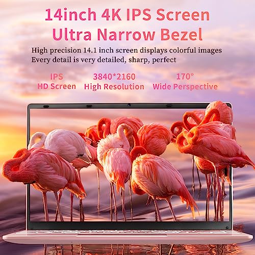Image of BINTEC 14 inch 4K Laptop,3840x2160Pixels, Celeron N95 (up to 3.4GHz) Notebook PC,16GB DDR4 Ultrabook,180Open and Close,Backlit Keyboard, WiFi,USB,Bluetooth (Rose Gold /16G+960GB SSD)
