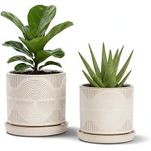 Ceramic Plant Pots, Modern Flower Pots, 4.5+5.5 Inch Small Plant Pots