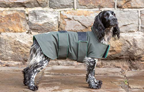 dog field jacket