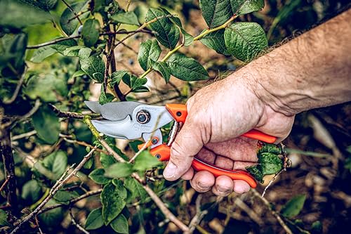 Löwe 9.104 Bypass Gartenschere für präzise Schnitte im Garten