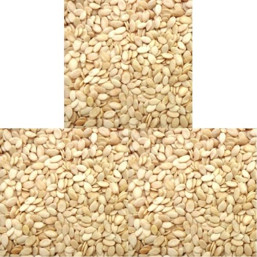 Image of Ancy Nuts and Seeds (Watermelon Seeds 500G) (Pack of 3)