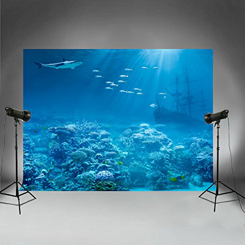 Hintergründe für Tauchen, Unterwasserwelt, Urlaub, Party, Fotoautomat, Sommer, Geburtstag, Dekoration, Sunk Piratenschiff FT3916 Cover