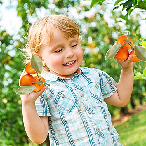 Artificial Mini Orange Simulation Orange Decorative Tangerine Kitchen Table Fake Orange Realistic Artificial Fruit Bowl Tray Faux Fruit For Home Party Kitchen Festival Decoration (5 Clusters) #TOP5