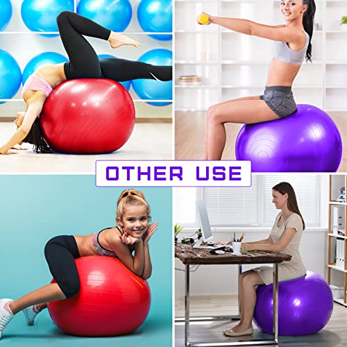 Leyndo 2 Pcs 25.59 Inch Large Horse Herding Balls For Play Herding Ball For Horse Shepherd Dog Herding Ball Toys For Horses Stall Giant Training Ball Pet Toys Include Hand Pump (Red, Dark Purple) #TOP5