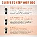 NeoAlly - 3-in-1 Short Rear Leg Hock Brace, Dog Leg Brace for Rear Leg with Rigid & Spring Inserts, Hock and Ankle Support, Dog Leg Sleeve with Reflective Straps, Large, 1 Pair