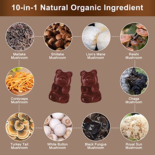 ACEYO Mushroom Gummies Complex Supplement 3000mg -Lions Mane, Ashwagandha, Turkey Tail, Cordyceps, Chaga, Reishi Mushroom- Nootropic Brain Supplements for Memory and Focus, Energy and Immune Support - Image 3