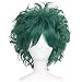 ColorGround All Green Short Curly Prestyled Natural Cosplay Wig for Men and Women (All Dark Green)
