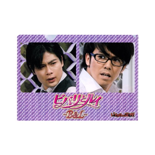 Amazon.co.jp: （ピカルの定理）クリアじゃないファイル ビバリとルイ