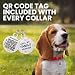 BRONZEDOG Hundehalsband aus gerolltem Leder mit QR-ID-Tag, verstellbar, weiche runde Halsbänder für kleine, mittelgroße und große Hunde, Welpen, Katzen (Smaragdgrün, 23-28 cm)
