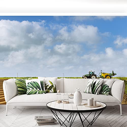 Papier Peint Moderne Nature 250x104cm Décoration Murale - 5