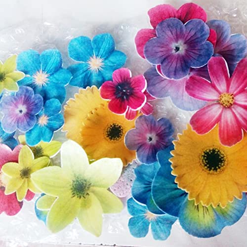 77X Edible Flowers For Cake Decorating Cupcake Toppers For Anniversary #TOP4