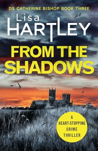 From the Shadows view 2