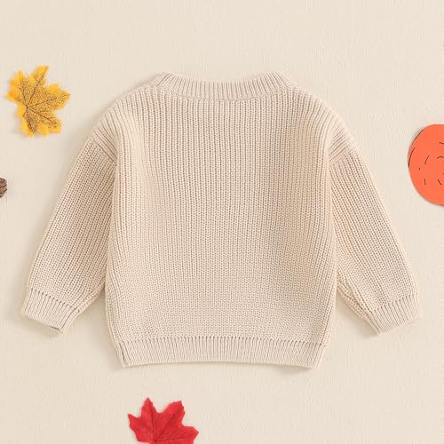 Lesimsam Toddler Baby Boy Girl Thanksgiving Sweater Turkey Embroidery Knit Sweatshirt Pullover Top Warm Winter Clothes4