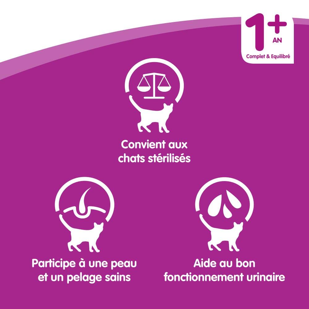 WHISKAS Repas pour Chat - 48 Sachets Fraîcheur 100g - Pâtée pour Chat en Gelée - Poulet/Saumon/Boeuf/Thon - Nourriture Complète & Equilibrée avec des Ingrédients Naturels, Adapté Chat Stérilisé