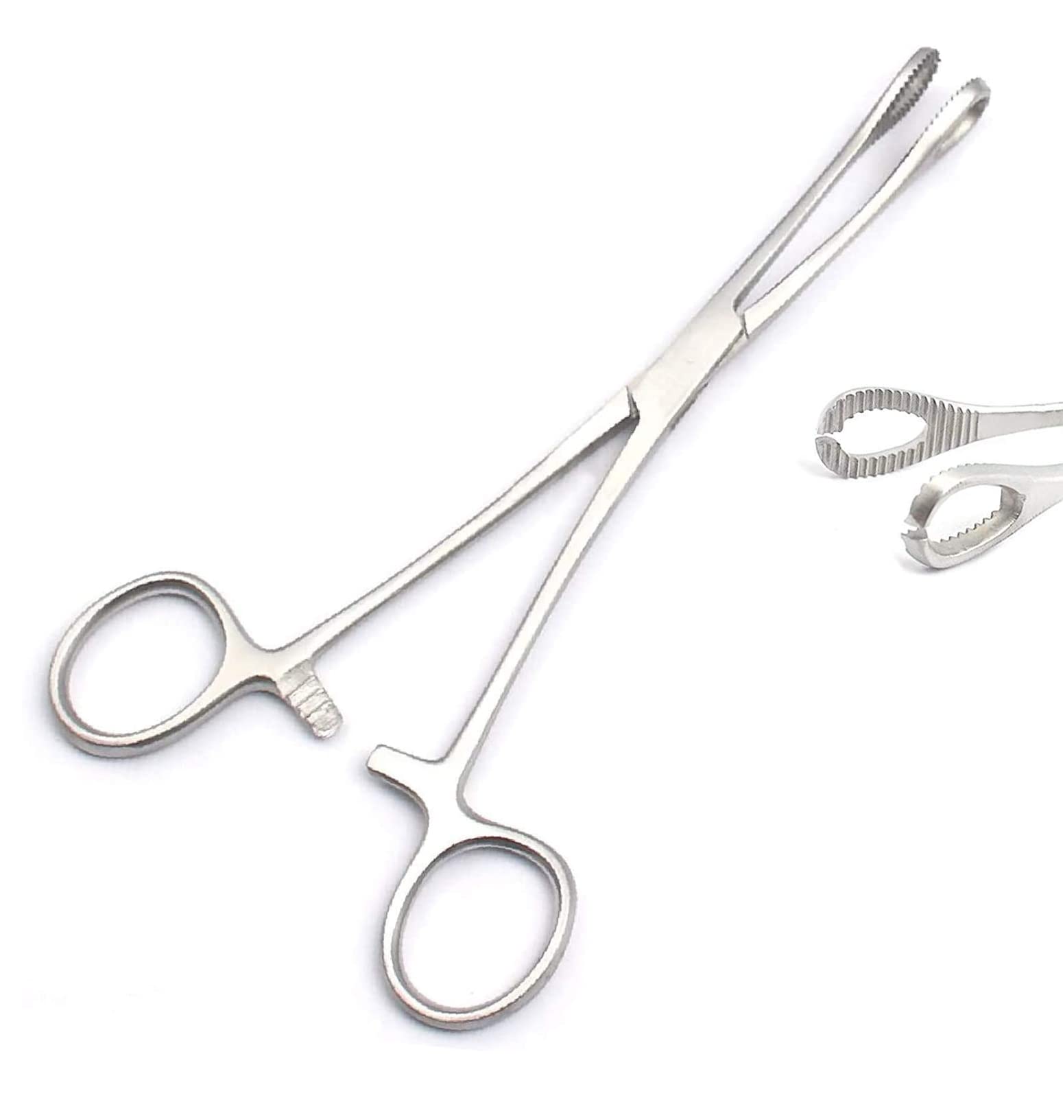 7.5" Sponge Forceps - Body Piercing Instruments -1