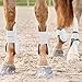 HORZE Chicago Protective Horse Tendon Boots - Lightweight Open Front Boots for Jumping, Trail Riding, and Turnout (Pair) - White/Grey - Pony