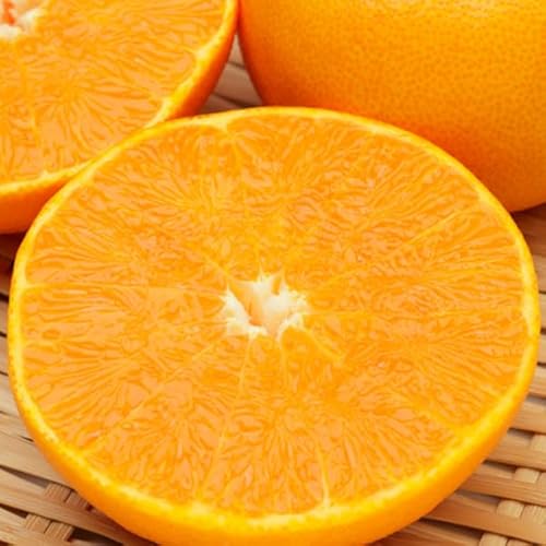 愛媛まどんな (紅まどんな 同品種) アイカ みきゃん箱 Mサイズ 2.5kg JAの正規品(あいか/ 愛果28号) ご家庭用 高糖度・JA選果【愛媛県産・紅マドンナと同じ品種】お歳暮・お正月・みきゃんキャラクター【11月下旬から出荷開始】