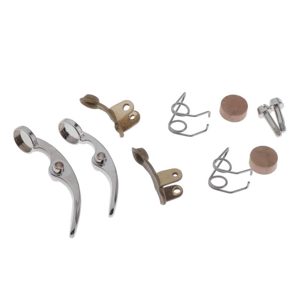 2 Set Tromba Acqua Chiave Valvola Molle Viti Parti Strumento in Ottone