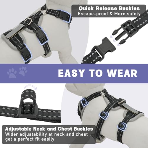 Image of Cat Harness for Walking, Escape Proof Cat Harness and Leash Set with Reflective Strip, Adjustable Cat Leash Breathable Soft Vest for Small to Large Cats, BlackGrey, M