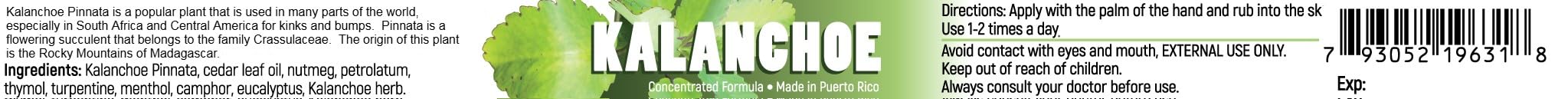 Kalanchoe Pinnata Ointment 4oz