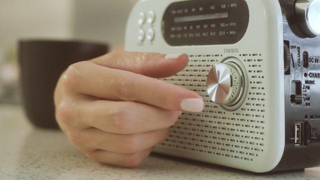Amazon.com: RadioShack AM/FM/SW 3-Band Vintage Radio with