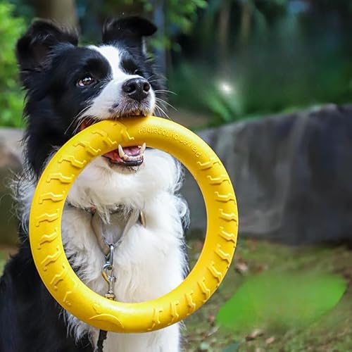 ペット用エヴァです 犬のフリスビー盤です 外径19CM 27CM 浮く 中型犬 大型犬 耐久性 フィットネスリング ペット ストレス解消 浮遊訓練 知能訓練 噛み止め テディ犬デンタル玩具 ラウンドフリスビー ストレス解消(中小犬) トレーニングリング 犬