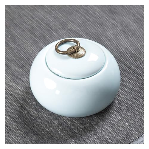 ybgpفC Az[̈DA̓퐻Anp̋LOiALpVp(N)