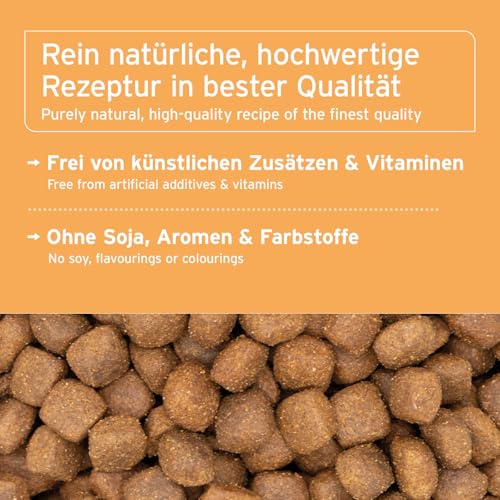 AniForte Natürliches Hunde-Futter Trockenfutter LandChicken 14kg, Zartes Huhn mit Reis, 100% Natur, Allergiker, Glutenfrei, Karotten & knackigem Chicorée, ohne künstliche Vitamine