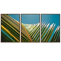 SIGNWIN Framed Canvas Wall Art Closeup of a Coconut Palm Leaves Coastal Ocean Photography Modern Art Panoramic Relax/Calm for Living Room, Bedroom, Office - 16