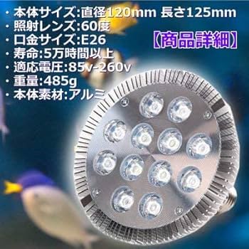 LEDライト 水草用 Amazon.co.jp: しんちんちん LEDアクアリウムライト 水槽 ライト