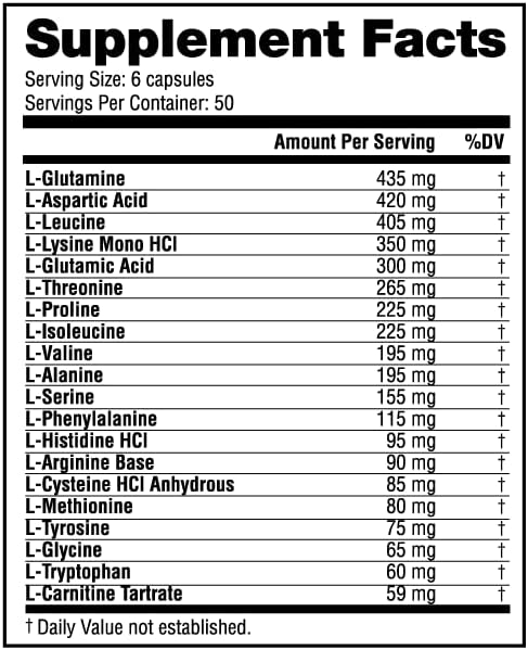 NutraBio Amino 3894, Amino Acid Capsules with BCAA and EAA's, Full Spectrum Amino Recovery Matrix - 300 Capsules