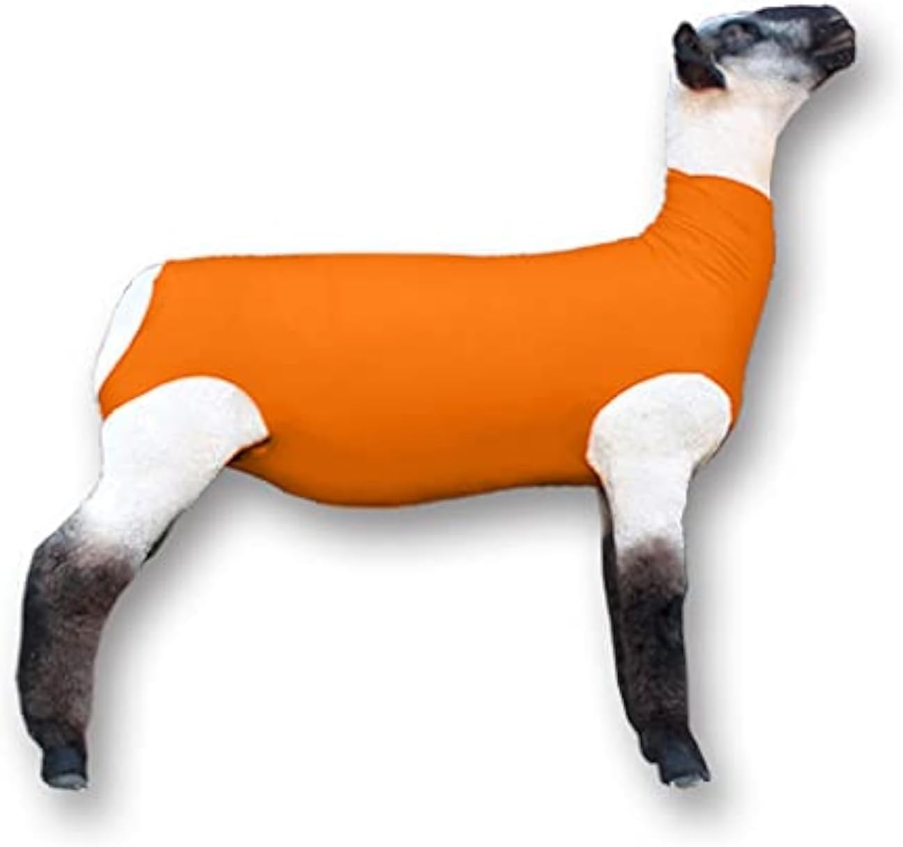 Show Pro Orange Spandex Lamb Tube for Show Sheep & Lamb – Show Livestock Supplies: Sheep Covers & Blankets (Medium)