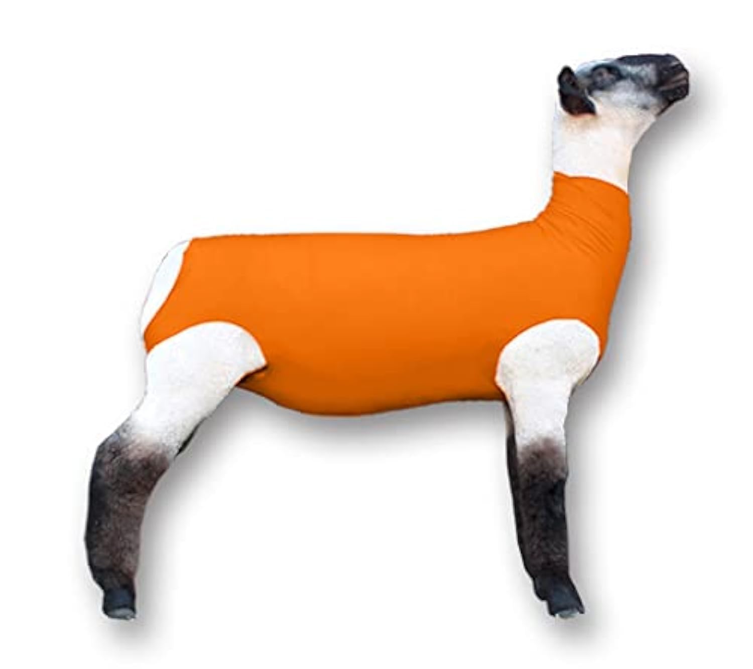 Show Pro Orange Spandex Lamb Tube
