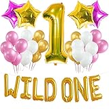 WILD ONE BIRTHDAY DECORATION KIT, Pink and White Balloons Set Perfect for 1st Bday Party Supplies Girl with One FREE Number 1 Cake Topper