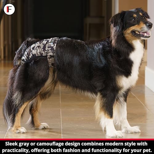 Image of FINNERO Brenda Reusable Dog Diaper, Leak-Proof, Adjustable, Heat & Incontinence Protection, L - Gray
