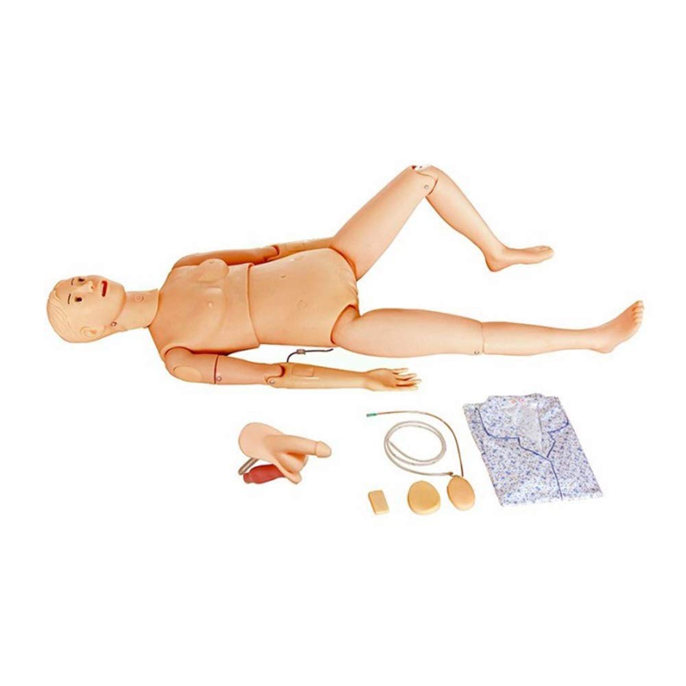 Modèle de Mannequin d'infirmière, modèle de Mannequin de Formation en Soins Infirmiers combiné Multifonctionnel pour Les Fournitures éducatives de Formation en Soins Infirmiers (A)