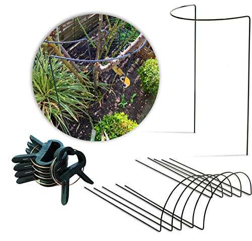 Novatool 5X Strauchstütze halbrund 50cm grün und 20x Pflanzenbefestigungen I Staudenhalter Blumenhalter Metall Pfingstrosen I Pflanzenstütze Blumenstütze Rankhilfe für Kletterpflanzen