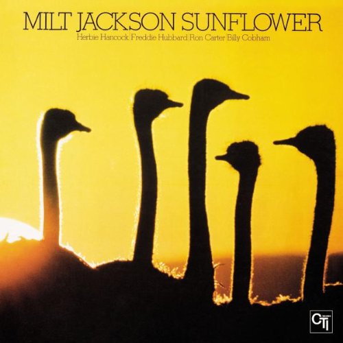 Amazon.com: Sunflower: CDs & Vinyl