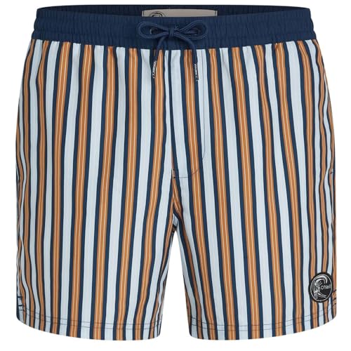 O´Neill O´Riginals Stripe 15´´ Swimming Shorts XL
