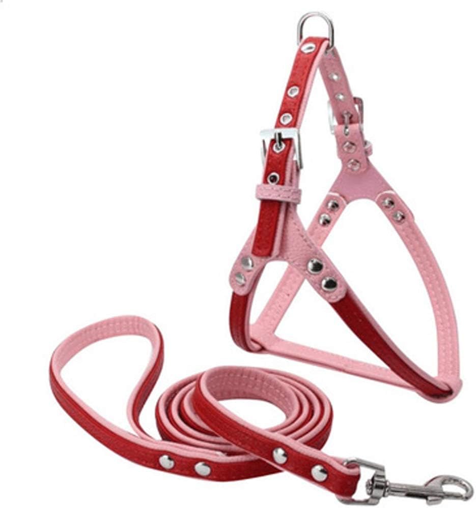 imbracatura da arrampicata per cani